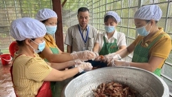 Kiểm tra bếp ăn bán trú tại các trường mầm non, tiểu học