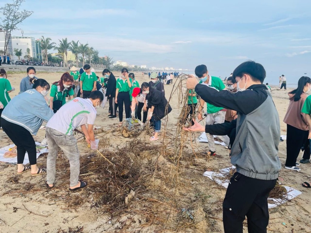 đã có khoảng 2.000 tình nguyện viên tham gia dọn rác đã có khoảng 2.000 tình nguyện viên tham gia dọn rác