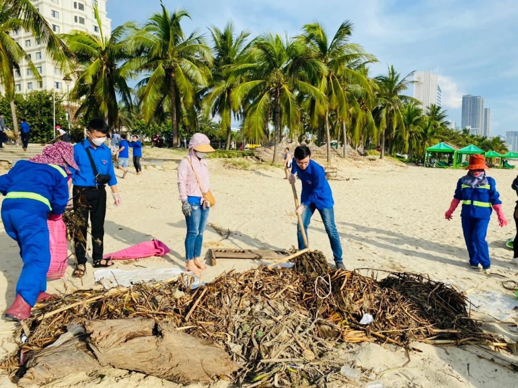 bão Noru đi qua đã để lại những hậu quả nặng nề cho các bãi biển, 