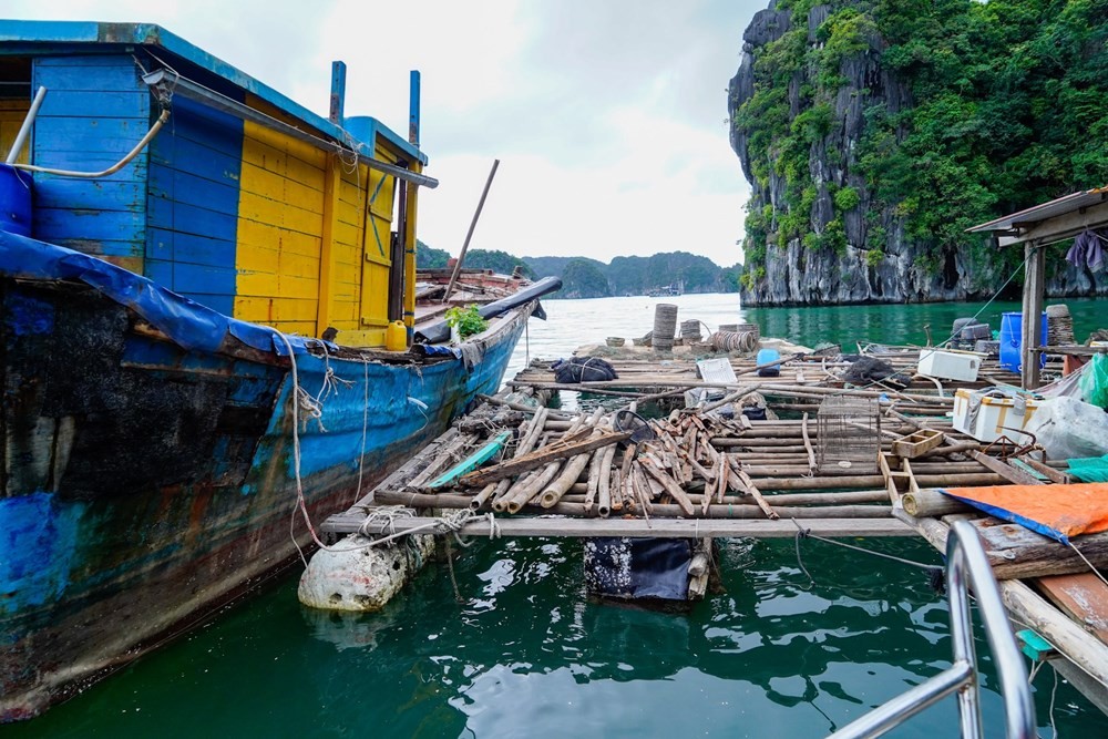 Đến 31/12/2022, phải hoàn thành việc tháo dỡ lồng bè trên các vịnh thuộc quần đảo Cát Bà