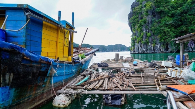 Hải Phòng: Kiên quyết tháo dỡ lồng bè nuôi trồng thủy sản trái phép