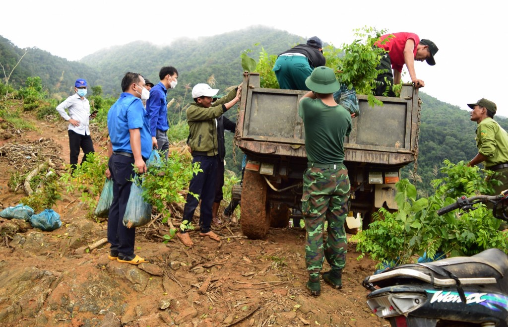 Trồng cây bảo vệ rừng, thân thiện với thiên nhiên 