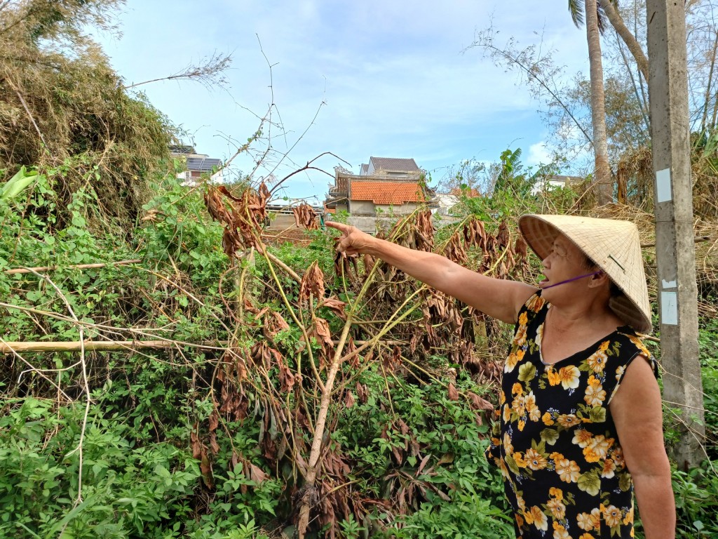 Quảng Nam: Người dân sắp được cấp sổ đỏ thì xuất hiện tranh chấp bất ngờ?