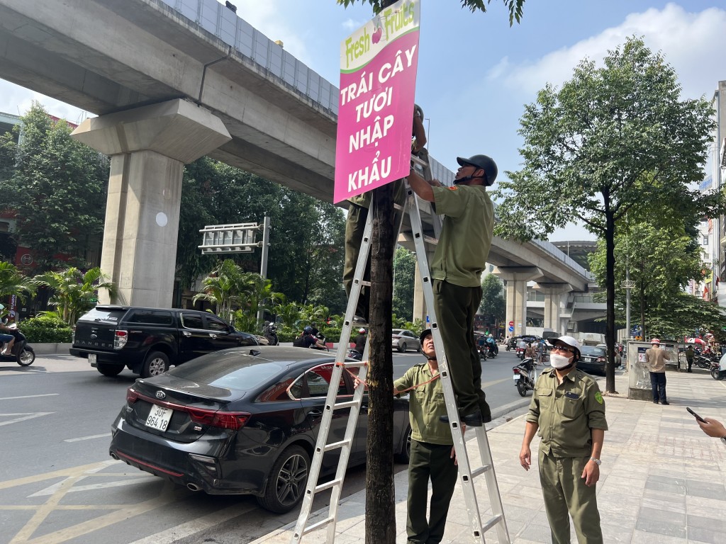 Mạnh tay chấn chỉnh vi phạm trật tự đô thị