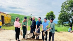 Thích Nguyên Quang: Nhà sư vận động làm hơn 6 cây cầu cho nông thôn