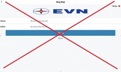 Cảnh báo website giả mạo thương hiệu EVN