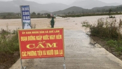 Quảng Nam: Lũ tại sông Vu Gia, Thu Bồn đang lên, miền núi mưa lớn