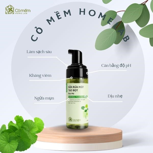 Sữa rửa mặt Rau Má - sản phẩm không thể thiếu trong bộ dưỡng da Rau Má