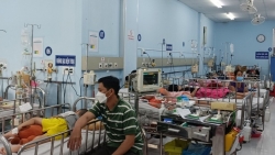 Dịch sốt xuất huyết tại TP Hồ Chí Minh vẫn diễn biến rất phức tạp