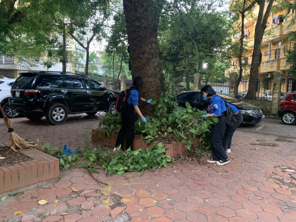 Vệ sinh môi trường, phát quang bụi rậm