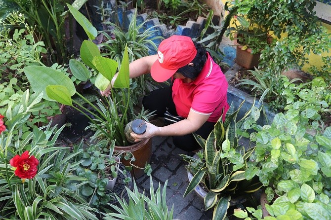 Vệ sinh môi trường, lật úp các dụng chứa nước diệt bọ gậy