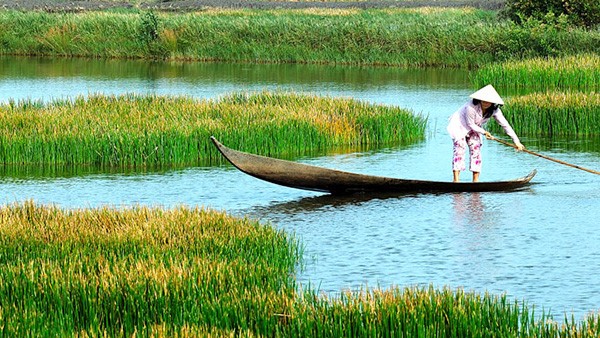 Nỗi nhớ, niềm thương mùa nước nổi