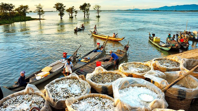 Nỗi nhớ, niềm thương mùa nước nổi