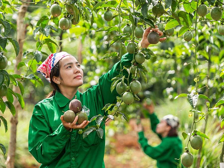 Thạch Thất nâng cao chất lượng các tiêu chí xây dựng Nông thôn mới