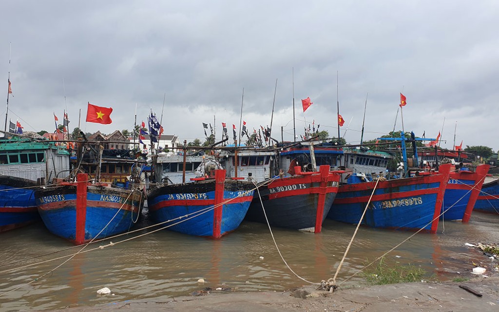 Tàu, bè neo đậu tránh bão