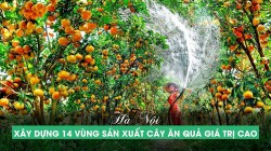 TP Hà Nội xây dựng 14 vùng sản xuất cây ăn quả giá trị cao
