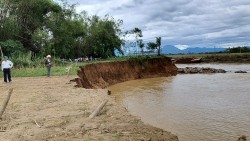 Quảng Nam: Đất canh tác trôi sông Vu Gia - Quảng Huế, người dân đứng ngồi không yên