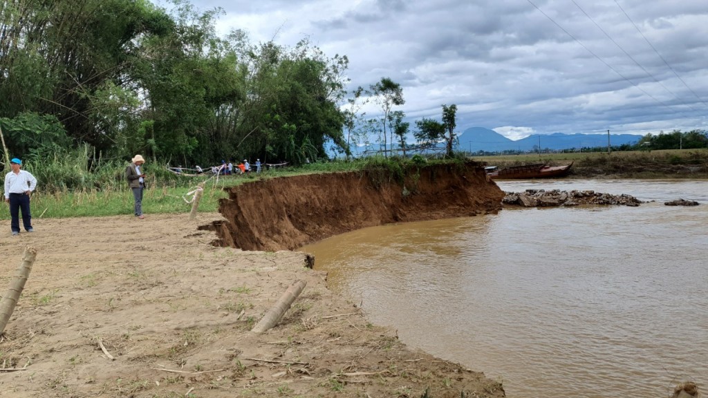 Quảng Nam: Đất canh tác trôi sông Vu Gia - Quảng Huế, người dân đứng ngồi không yên Quảng Nam: Đất canh tác trôi sông Vu Gia - Quảng Huế, người dân đứng ngồi không yên