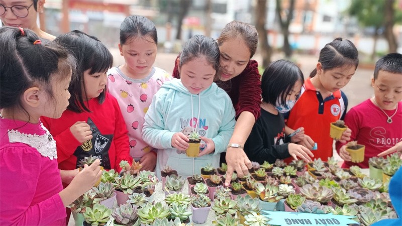 “Đổi giấy lấy cây” ươm mầm cuộc sống xanh