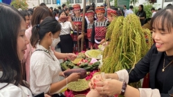 Lào Cai: Ngày hội “Trao tặng sách, đồ dùng đồ chơi qua sử dụng; Trải nghiệm giáo dục lòng nhân ái”