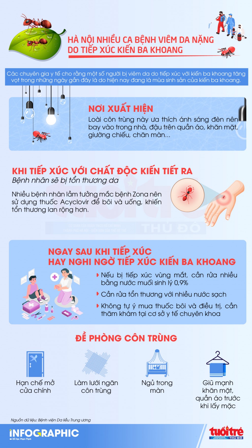 Cảnh báo về việc xuất hiện kiến ba khoang