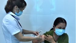 10 tháng năm 2022, Hà Nội ghi nhận 2 ca mắc và tử vong do bệnh dại