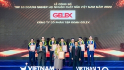 GELEX lọt top 50 Doanh nghiệp lợi nhuận xuất sắc nhất Việt Nam