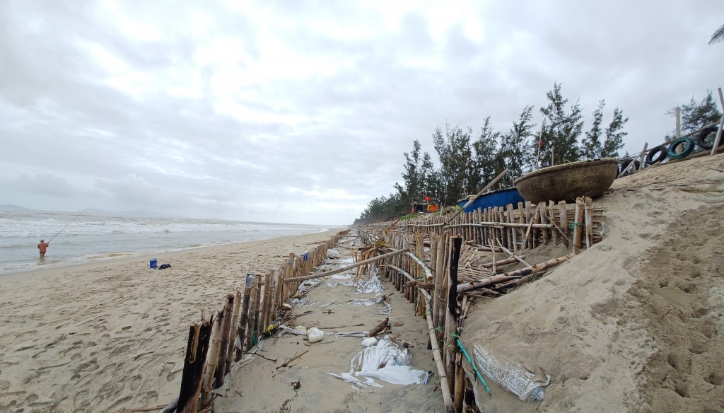 Quảng Nam: 300m bờ biển Cẩm An sạt lở kinh hoàng do triều cường