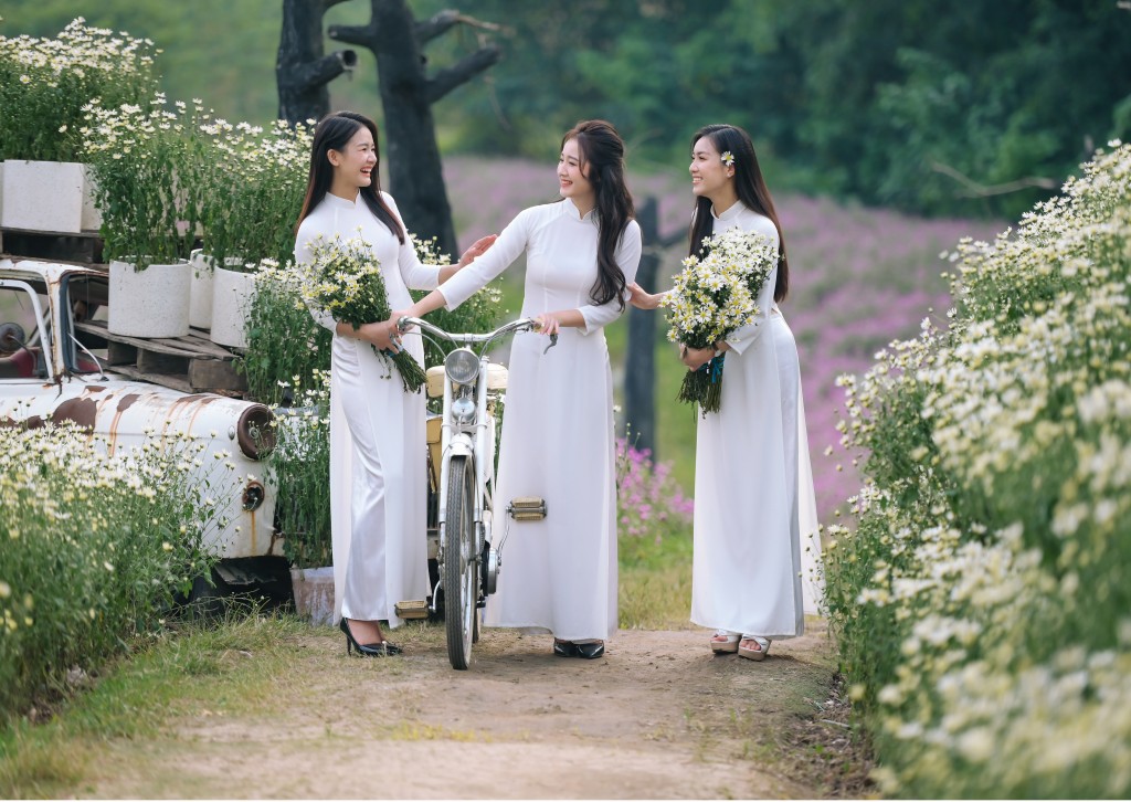 Thiếu nữ Hà thành đẹp yêu kiều bên cúc họa mi Thiếu nữ Hà thành đẹp yêu kiều bên cúc họa mi