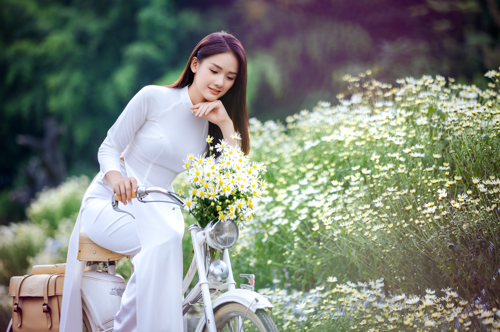 Thiếu nữ Hà thành đẹp yêu kiều bên cúc họa mi Thiếu nữ Hà thành đẹp yêu kiều bên cúc họa mi