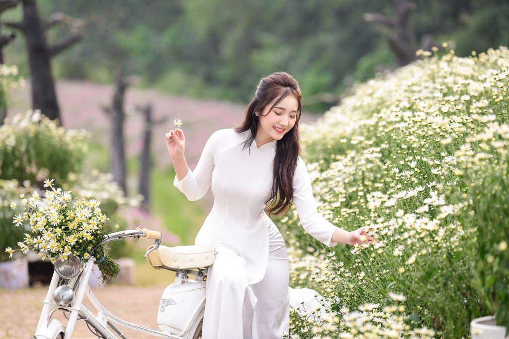 Thiếu nữ Hà thành đẹp yêu kiều bên cúc họa mi Thiếu nữ Hà thành đẹp yêu kiều bên cúc họa mi