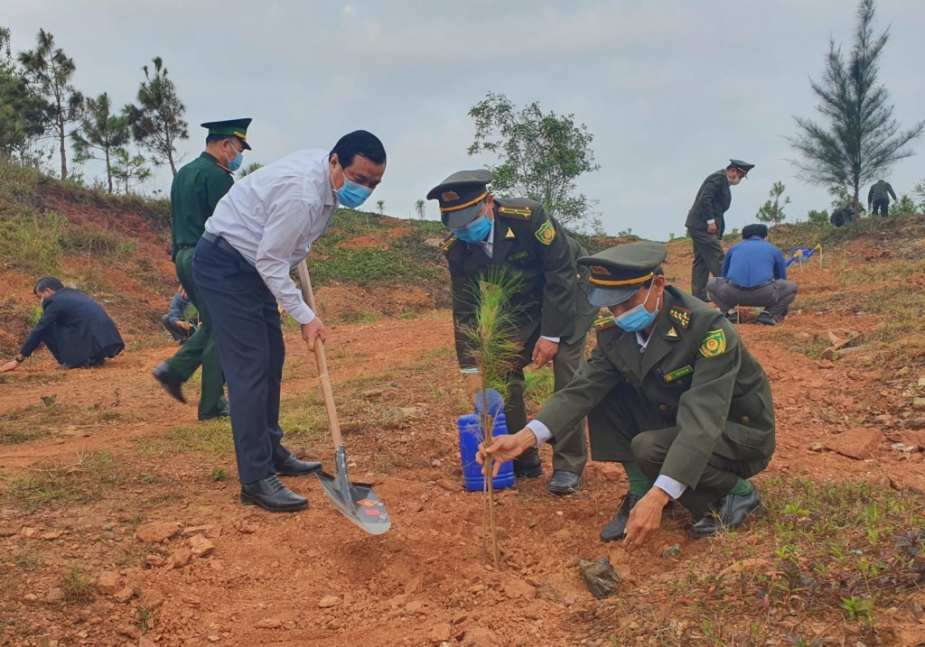 Quảng Nam phê duyệt chủ trương đầu tư dự án “Chương trình trồng 1 tỷ cây xanh” với kinh phí 15 tỷ đồng, giai đoạn 2022-2026 (Nguồn vhttamky.com)