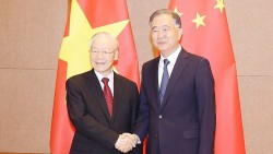 Tổng Bí thư Nguyễn Phú Trọng hội kiến Chủ tịch Chính hiệp Trung Quốc Uông Dương