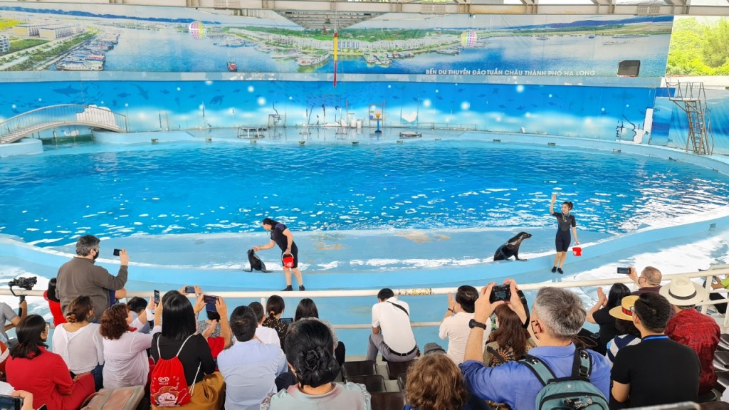 Biểu diễn xiếc Cá heo – Hải cẩu tại Khu vui chơi giải trí và Đô thị sinh thái Tuần Châu Hà Nội