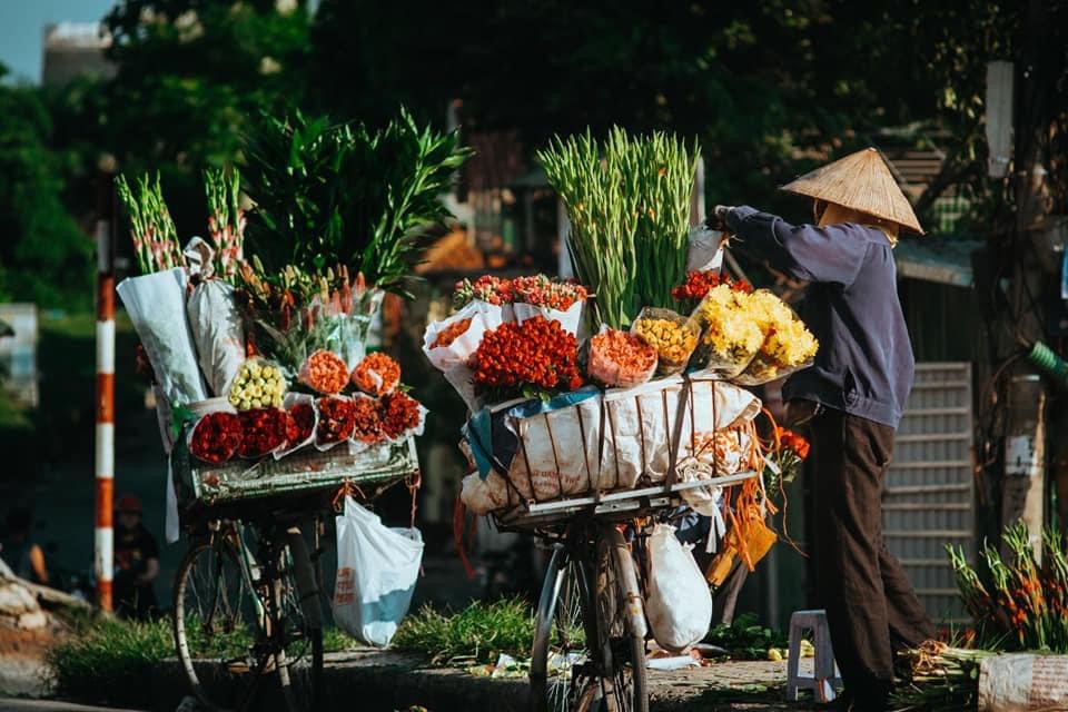 Hà Nội rực rỡ trong sắc hoa đầu đông