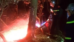 Huy động 355 người cùng phương tiện xuyên đêm chữa cháy rừng phòng hộ Sóc Sơn