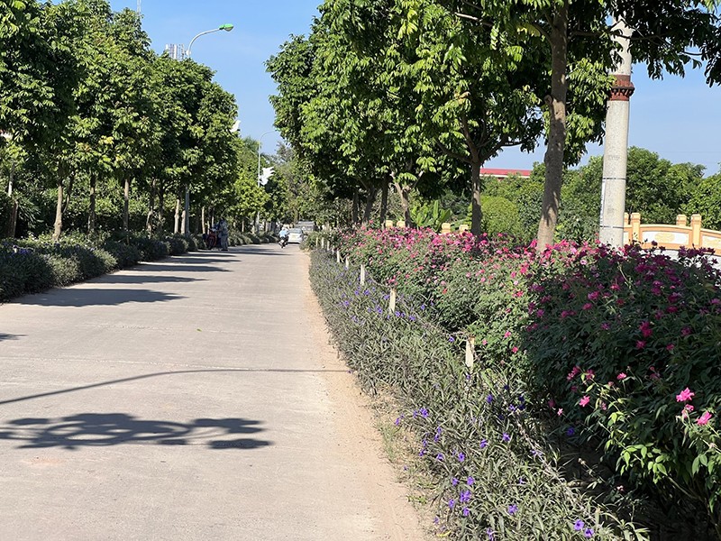 Con đường hoa tại xã Yên Mỹ (huyện Thanh Trì)