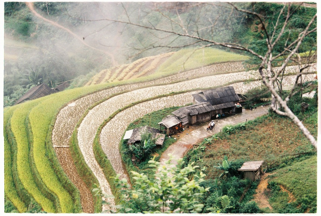 Bản làng vùng cao lấp ló trong sương sớm. Ảnh: Đức Anh Bản làng vùng cao lấp ló trong sương sớm. Ảnh: Đức Anh