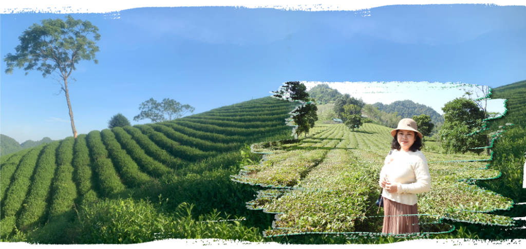 Con gió lành thổi ngang trời xanh Tây Bắc Con gió lành thổi ngang trời xanh Tây Bắc