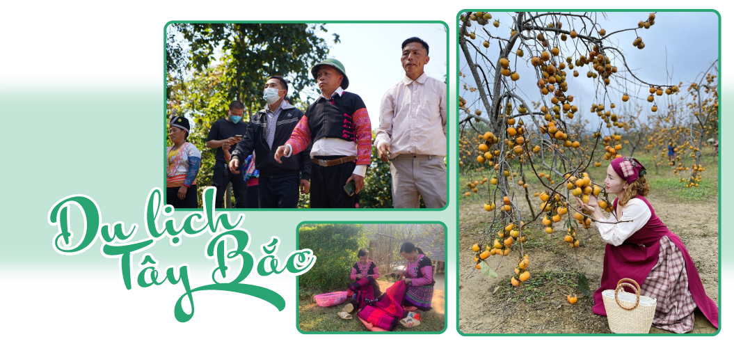 Con gió lành thổi ngang trời xanh Tây Bắc Con gió lành thổi ngang trời xanh Tây Bắc