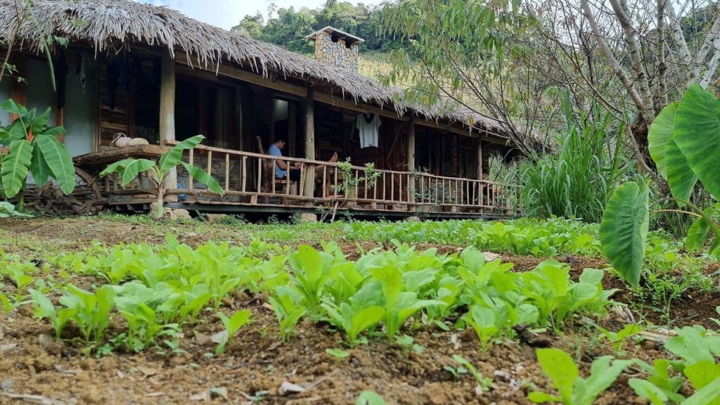 Con gió lành thổi ngang trời xanh Tây Bắc Con gió lành thổi ngang trời xanh Tây Bắc