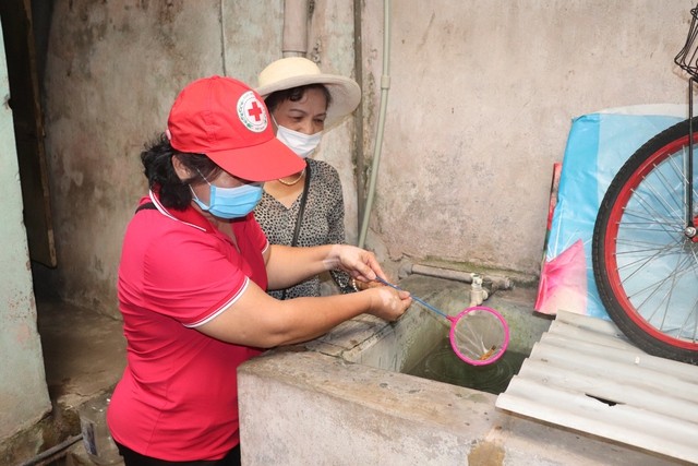 Kiểm tra phòng chống sốt xuất huyết trên địa bàn quận Hoàn Kiếm. 
