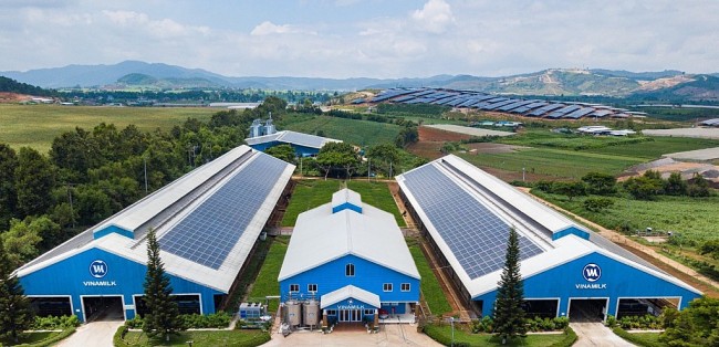 Đón đầu cơ hội phát triển ngành công nghiệp hydrogen xanh