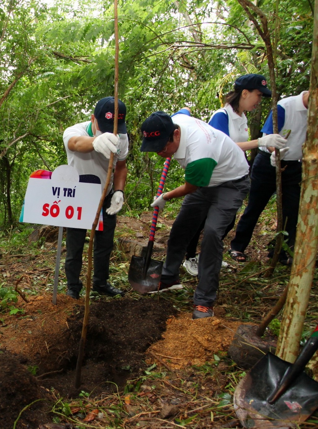 Người dân trồng cây xanh