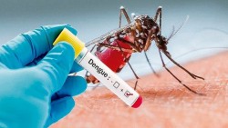 Bộ Y tế hướng dẫn biện pháp chủ động phòng chống dịch sốt xuất huyết