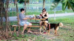 Khám phá bên trong công viên thú cưng đầu tiên ở Hà Nội