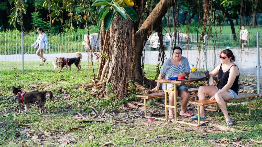 Khám phá bên trong công viên thú cưng đầu tiên ở Hà Nội