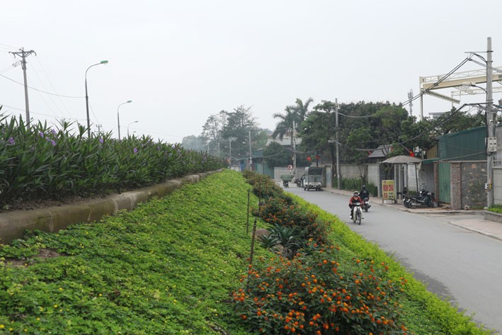 Tuyến đê kiểu mẫu ở phường Thanh Trì (quận Hoàng Mai).