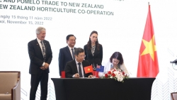 New Zealand chính thức công bố nhập khẩu bưởi và chanh từ Việt Nam