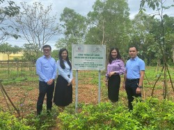 Toyota Việt Nam tiếp tục hưởng ứng Chương trình “Một tỷ cây xanh – Vì Việt Nam xanh” tại tỉnh Quảng Trị và Phú Yên